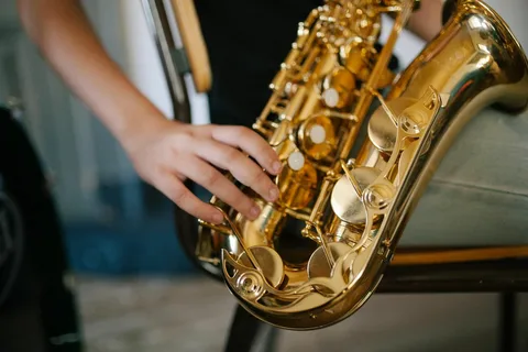 Quem deveria aprender música e saxofone?